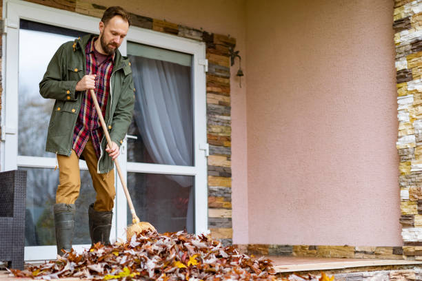 Best Basement Cleanout Services  in Ashtabula, OH